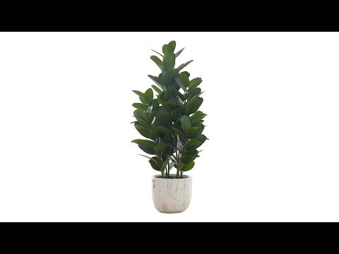 ARTIFICIAL PLANT - 31""H / INDOOR GARCINIA IN A 7"" POT