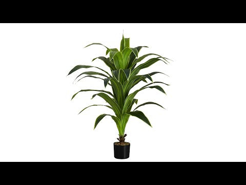 ARTIFICIAL PLANT - 47""H / INDOOR DRACAENA IN A 5"" POT