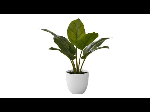 ARTIFICIAL PLANT - 17""H / INDOOR AUREUM IN A 5"" POT