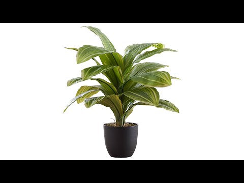 ARTIFICIAL PLANT - 17""H / INDOOR DRACAENA IN A 4"" POT
