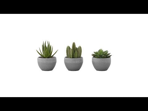 ARTIFICIAL PLANT - 3PCS / 6""H SUCCULENT IN A 3"" GREY POT