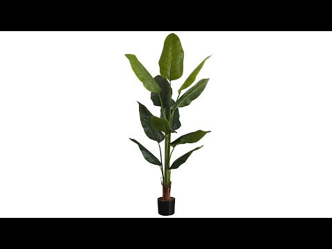 ARTIFICIAL PLANT - 59""H / INDOOR STRELITZIA IN A 5"" POT