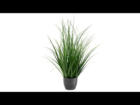 ARTIFICIAL PLANT - 23""H / INDOOR GRASS IN A 4"" BLACK POT