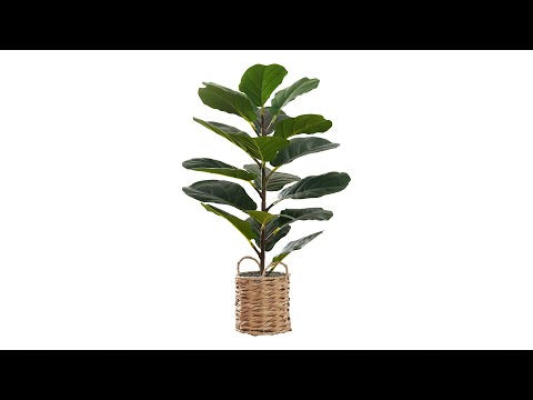 ARTIFICIAL PLANT - 28""H / INDOOR FIDDLE / 8"" WOVEN BASKET