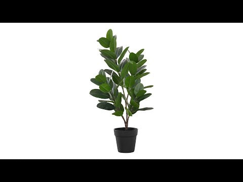 ARTIFICIAL PLANT - 28""H / INDOOR GARCINIA IN A 5"" POT