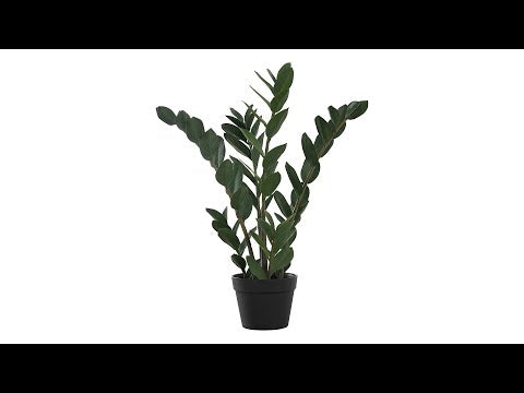 ARTIFICIAL PLANT - 29""H / INDOOR ZZ IN A 6"" POT