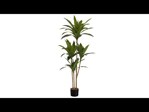 ARTIFICIAL PLANT - 51""H / INDOOR DRACAENA IN A 5"" POT